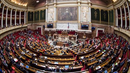 L'Assemblée nationale, à Paris, le 6 décembre 2017.&nbsp; (BERTRAND GUAY / AFP)