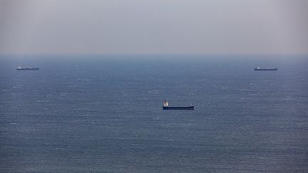 Des navires se trouvent au large d'Israël, le 21 décembre 2023, alors que plus au sud, les rebelles houthis multiplient les attaques contre les navires marchands au large du Yémen. (MATI MILSTEIN / NURPHOTO / AFP)