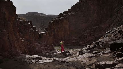 Les guides bédouins masculins partent loin de chez eux, mais les femmes qui restent proches de leurs villages ont acquis une connaissance exceptionnelle des montagnes environnantes. Elles connaissent les noms et les propriétés de chaque plantes et herbes locales, l'histoire et les légendes de cette région. (SIPA/AP/NARIMAN EL-MOFTY)