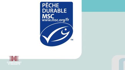 Complément d'enquête. Pêche durable : "un impact quasi nul" pour le label MSC créé par le WWF