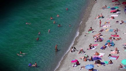 Alpes-Maritimes : record de chaleur à Nice en plein mois de novembre (France 2)