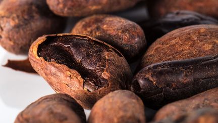 Fèves de cacao (Bernachon.com)