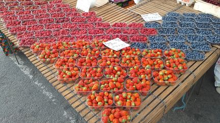 Des fruits au marché de Brive-la-Gaillarde. (SARAH TUCHSCHERER / RADIO FRANCE)