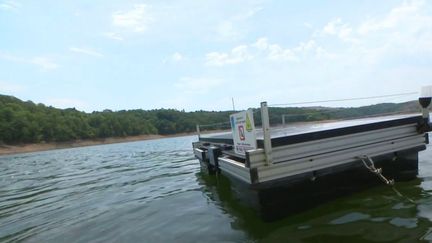 Canicule : des cyanobactéries empêchent la baignade