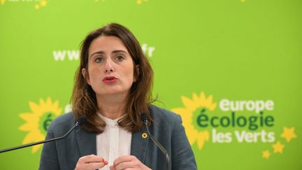 La secrétaire nationale d'Europe Ecologie Les Verts à Paris, le 12 janvier 2023. (EMMANUEL DUNAND / AFP)