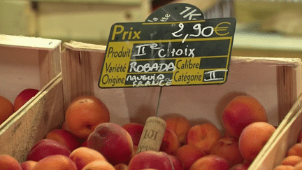 Consommation : les prix des abricots en baisse