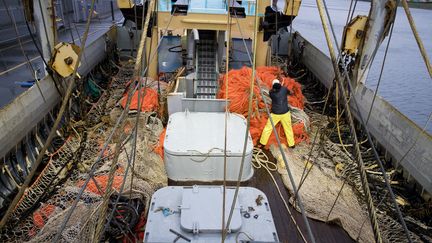 Un pêcheur à bord du bateau néerlandais "TX-38 Branding IV", le 18 janvier 2018 au port de Den Helder (Pays-Bas). (NIELS WENSTEDT / ANP)