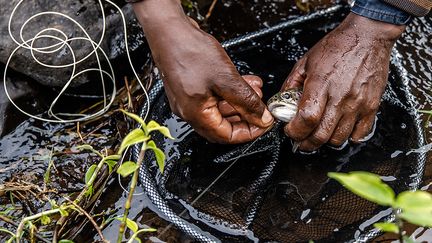 Les Kényans pêchent avant tout pour se nourrir. Quand ils voient les pêcheurs à la mouche remettre à l'eau les poissons qu'ils attrapent, entre autres pour éviter la surpêche, pour eux c’est "une folie".&nbsp; &nbsp; &nbsp; (LUIS TATO / AFP)