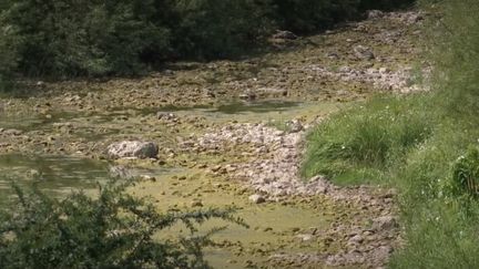 Sécheresse : le Doubs est à sec