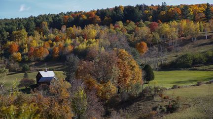 Vue de Sleepy Hollow Farm, à Pomfret (Vermont, États-Unis) en octobre 2019 (CJ GUNTHER / EPA)