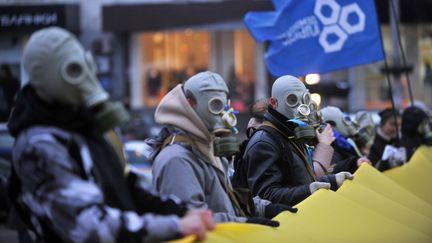 Des manifestants portant des masques &agrave; gaz tiennent un drapeau ukrainien g&eacute;ant devant le parlement ukrainien, le 13 d&eacute;cembre 2013 &agrave; Kiev (Ukraine). (GENYA SAVILOV / AFP)