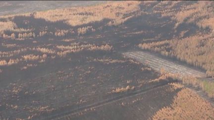 Du ciel de Gironde, on ne voit plus que du noir et du brun. 7 400 hectares ont été calcinés (FRANCEINFO)