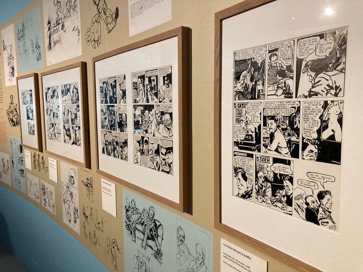 Exposition "Dessiner la vie", Edmond Baudoin, 17 mars 2022 (Laurence Houot/ FRANCEINFO CULTURE)