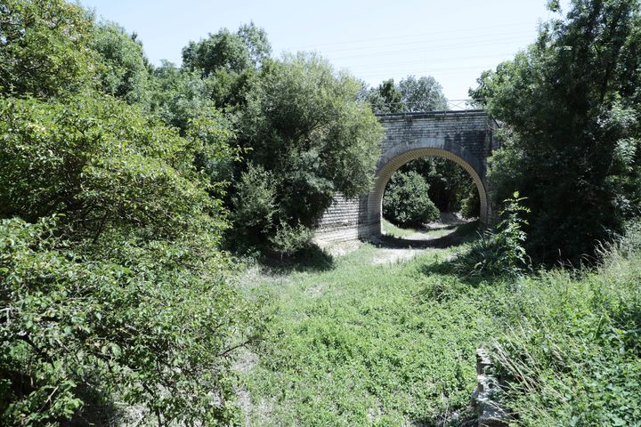 Le lit asséché du Mignon, le 14 juin 2022 à Mauzé-sur-le-Mignon (Deux-Sèvres). (THOMAS BAIETTO / FRANCEINFO)