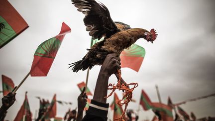 Les soutiens d'Isaias Samakuva brandissent les drapeaux et même pour certains, le coq, l'emblême historique du Mouvement populaire pour la libération de l'Angola (Unita), principal adversaire du MPLA. La volonté de ce dernier est «d'assécher l'Unita mais le peuple nous protège», estime l'opposant qui, à 71 ans, mobilise encore les foules. Parmi elles, se trouvent les fidèles de l'Unita, l’ancienne rébellion de Jonas Savimbi devenue premier parti d’opposition. Il y a aussi de nombreux déçus du pouvoir, qui ont délaissé le Sud du pays et ses villages affectés par les années de guerre civile (1975-2002), rappelle Le Monde. Exit le président dos Santos, c'est le candidat désigné du MPLA, l'ex-ministre de la Défense Joao Lourenço, 63 ans, qui occupera le fauteuil présidentiel. Mais le président sortant restera à la tête de son parti jusqu'en 2022. (MARCO LONGARI / AFP)