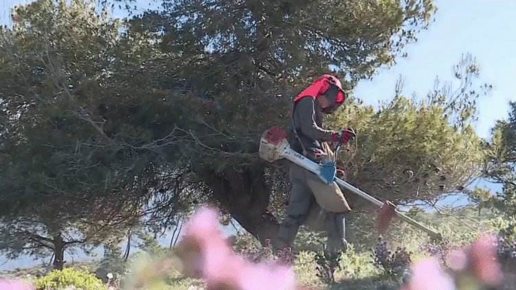 Incendies de forêt : les habitants des Alpes-Maritimes se mobilisent avant l'été