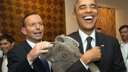 Le Premier ministre australien Tony Abbott (G) et le pr&eacute;sident am&eacute;ricain Barack Obama font connaissance avec Jimbelung le koala lors du G20 &agrave; Brisbane (Australie), le 15 novembre 2014. (ANDREW TAYLOR / G20 AUSTRALIA / AFP)