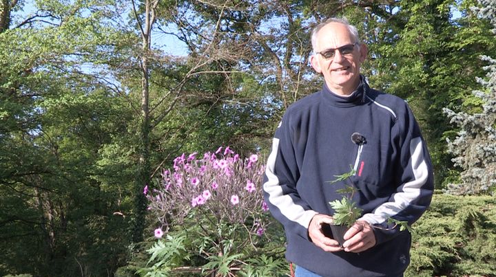 Le pépiniériste Marcel Delhommeau, spécialisé dans la production de fuchsias et&nbsp;de géraniums. (ISABELLE MORAND / RADIO FRANCE / FRANCE INFO)