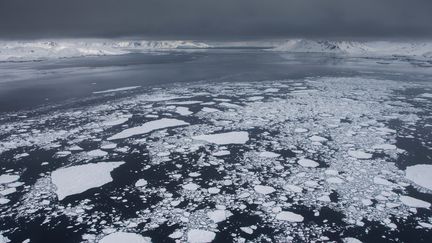 Des glaciers dans l'est du Groenland (Danemark), le 14 août 2013. (ELLI THOR MAGNUSSON / CULTURA CREATIVE / AFP)