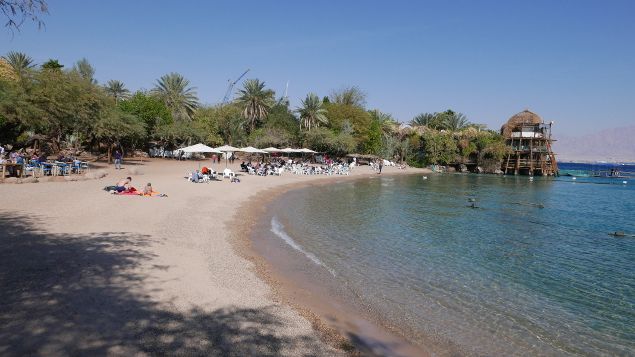 &nbsp; (La plage du Dolphin Reef avec ses coqs, ses oies, ses canards © Emmanuel Langlois)