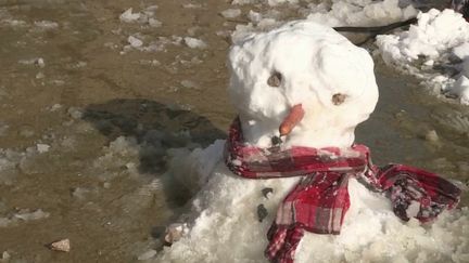 Les enfants ont pu s’amuser dans la neige, mercredi 10 février, dans la moitié nord de la France touchée par un épisode neigeux exceptionnel. (CAPTURE D'ÉCRAN FRANCE 3)