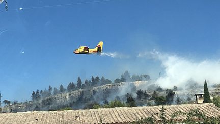 Incendie à Vitrolles ce dimanche 23 août. (ISABELLE GAUDIN / FRANCE-BLEU VAUCLUSE)