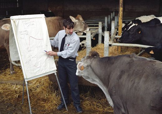 "Expliquer les objectifs de la production laitière aux vaches" Série&nbsp;: Objectif de production – 2005-2008&nbsp; (THIERRY BOUTONNIER)