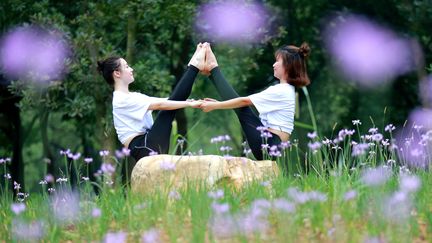 Séance de yoga à Xiajiang, en Chine, pour la Journée internationale de yoga, le 21 juin 2018.&nbsp; (CHEN FUPING / XINHUA / AFP)