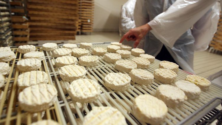 Allemagne Rappel De Fromages Français Possiblement Contaminés à Lecoli 