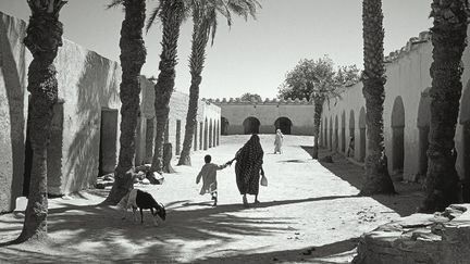 La palmeraie de Faya-Largeau. &nbsp; (José Nicolas, extraite de l'ouvrage TCHAD 1980-1997 / Éditions Imogene)