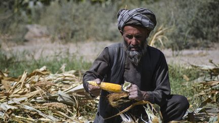 Un homme en Afghanistan, le 24 octobre 2021. (JAVED TANVEER / AFP)