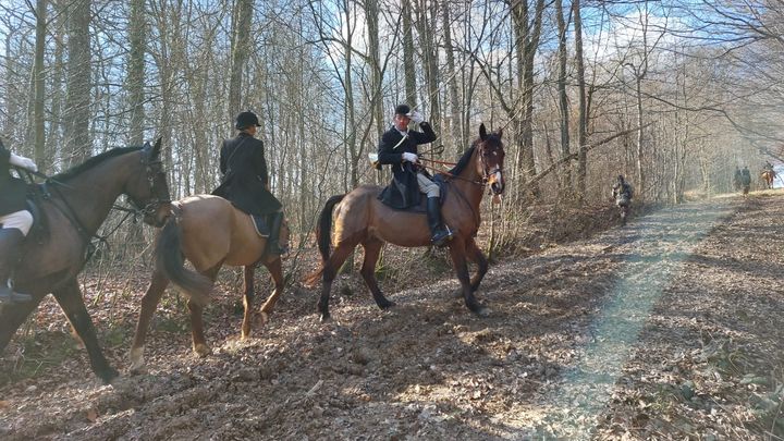 Des chasseurs lors d'une partie de chasse à courre dans la forêt de Retz dans l'Aisne, en février 2023. (VICTORIA KOUSSA / RADIO FRANCE)