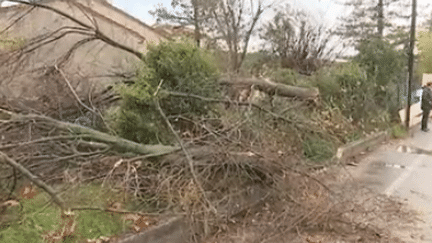 Meteo : des vents très violents dans le sud-est