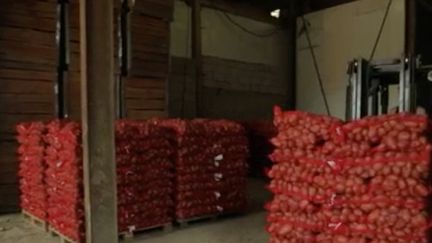 Dans l'Orne, un producteur de pommes de terre a décidé d'organiser dans sa ferme une vente à prix bradé. Victime de la crise sanitaire et de la fermeture des restaurants, il se retrouve avec un stock de 30 tonnes qui risque de pourrir sur place. L'opération connait un franc succès : les clients se bousculent. (FRANCE 2)