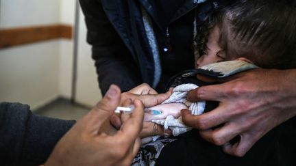 Un employé de l'UNWRA administre un vaccin contre la polio dans une clinique à Deir al-Balah, dans la bande de Gaza, le 21 janvier 2024. (MAJDI FATHI / NURPHOTO / AFP)