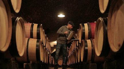 À la découverte des vins de Bourgogne