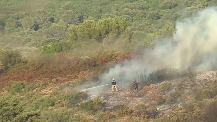 Vague de chaleur : comment prévenir les incendies, notamment favorisés par des sols asséchés ?