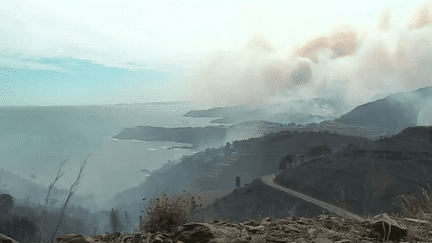 Ce dimanche 16 avril, ce sont plus de 700 hectares qui ont été touchés par les flammes, dans les Pyrénées-Orientales. 500 pompiers sont mobilisés, de nombreux habitants ont dû évacuer leur maison, dans les communes de Banyuls-sur-Mer et de Cerbère. (FRANCE 2)