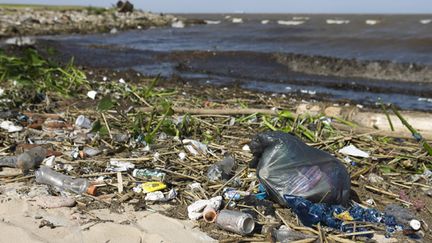 &nbsp; (sacs plastiques et autres détritus polluent les plages © Maxppp)