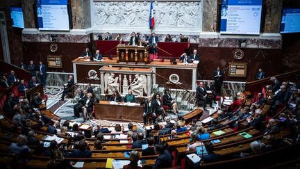 L'Assemblée nationale, à Paris, le 26 mars 2024. (XOSE BOUZAS / HANS LUCAS / AFP)