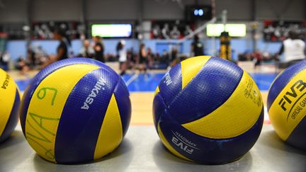 Les volleyeuses poursuivent leur entraînement. (photo d'illustration) (NICOLAS CREACH / MAXPPP)