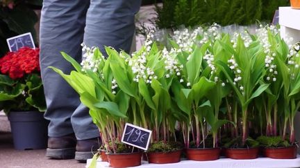 Vol de muguet : les fleuristes s’organisent (France 2)