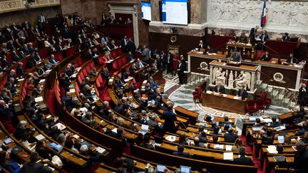 Illustration des débats sur le projet de loi immigration à l'Assemblée nationale à Paris, le 11 décembre 2023. (ALEXIS SCIARD / MAXPPP)