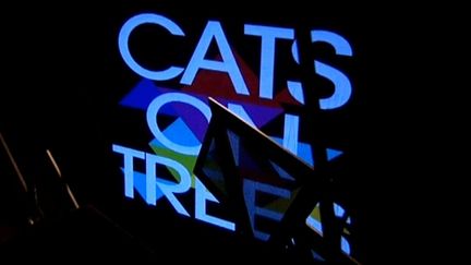 Cats on trees, le duo toulousain qui trace sa route
 (CatsonTrees)