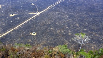 Vue aérienne d'une partie de la forêt amazonienne partie en fumée près de Porto Velho dans l'État de Rondonia au Brésil. (CARLOS FABAL / AFP)