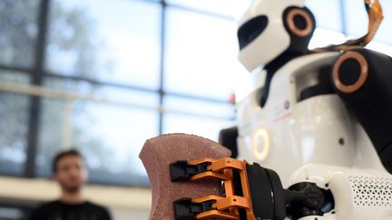 Un prototype de robot tient une brique au LAAS (Laboratoire d'analyses et d'architecture des systèmes) de Toulouse, le 1er février 2017 (REMY GABALDA / AFP)