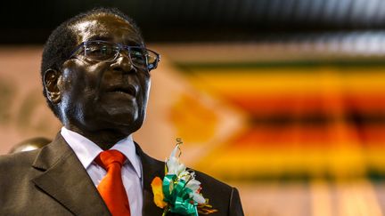 Le président du Zimbabwe, Robert Mugabe, le 7 avril 2016 à Harare. (JEKESAI NJIKIZANA / AFP)