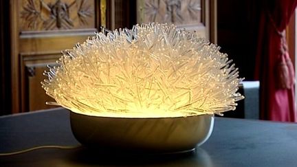 Le design, un objet du désir
 (France3/Culturebox)