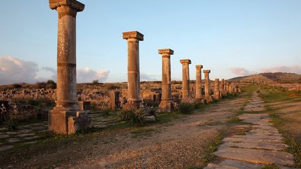 "Sur la piste menant de Volubilis à Meknès, on a trouvé des chapiteaux abandonnés par des esclaves qui ont pris la fuite dès qu'ils ont appris que Moulay Ismaïl était mort", raconte M'Hamed Alilou. (MANUEL COHEN/AFP)