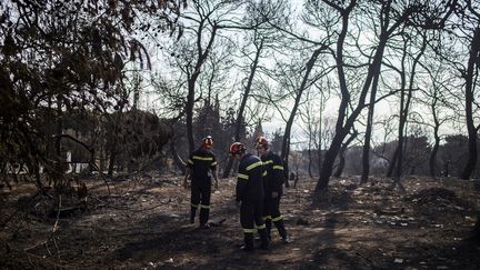 Incendies : "La prévention n'existe pas" en Grèce